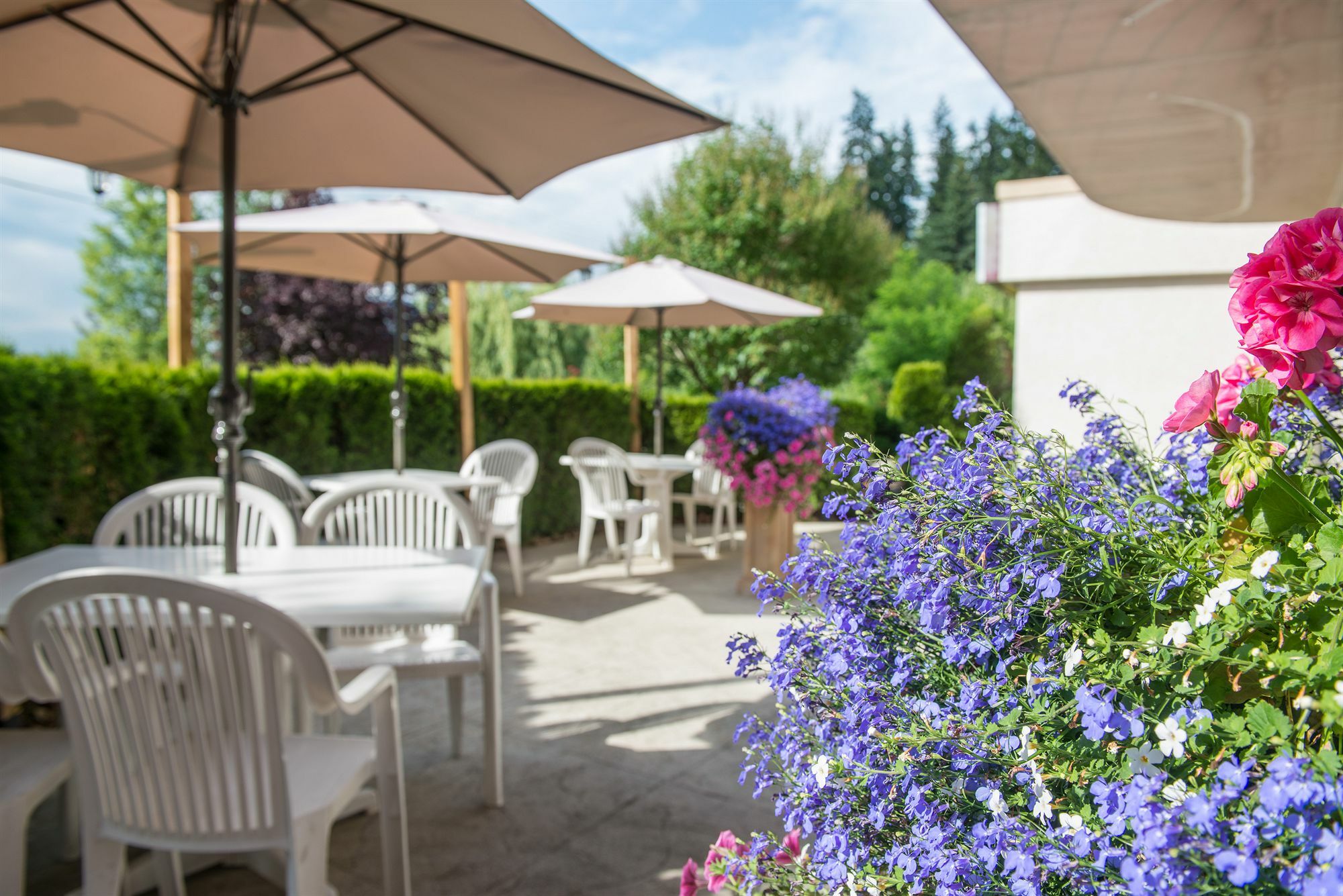 Hilltop Inn - Салмон-Арм Екстер'єр фото